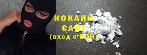 шишки Балахна