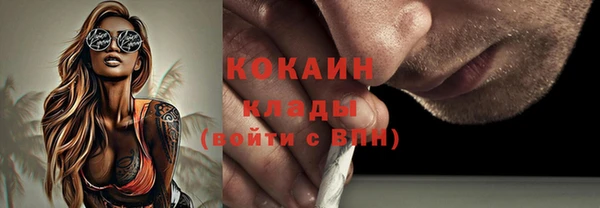 шишки Балахна