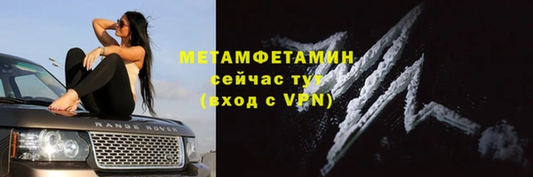 шишки Балахна