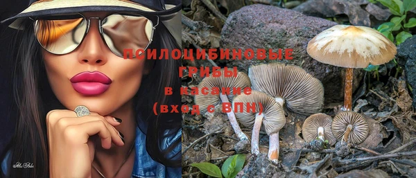 шишки Балахна