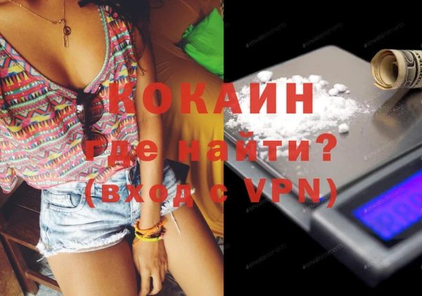 шишки Балахна
