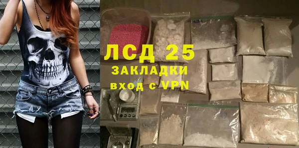 шишки Балахна