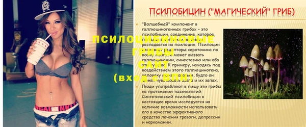 кокс Баксан